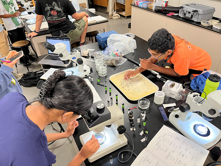 Summer Ventures students identifying macroinvertebrates
