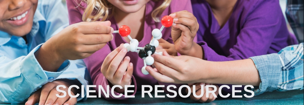 Children make a chemical model. 